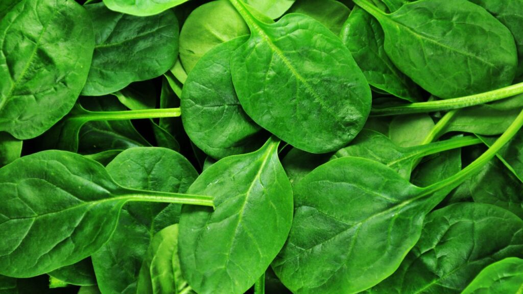 Superfood 11 Superfood 11