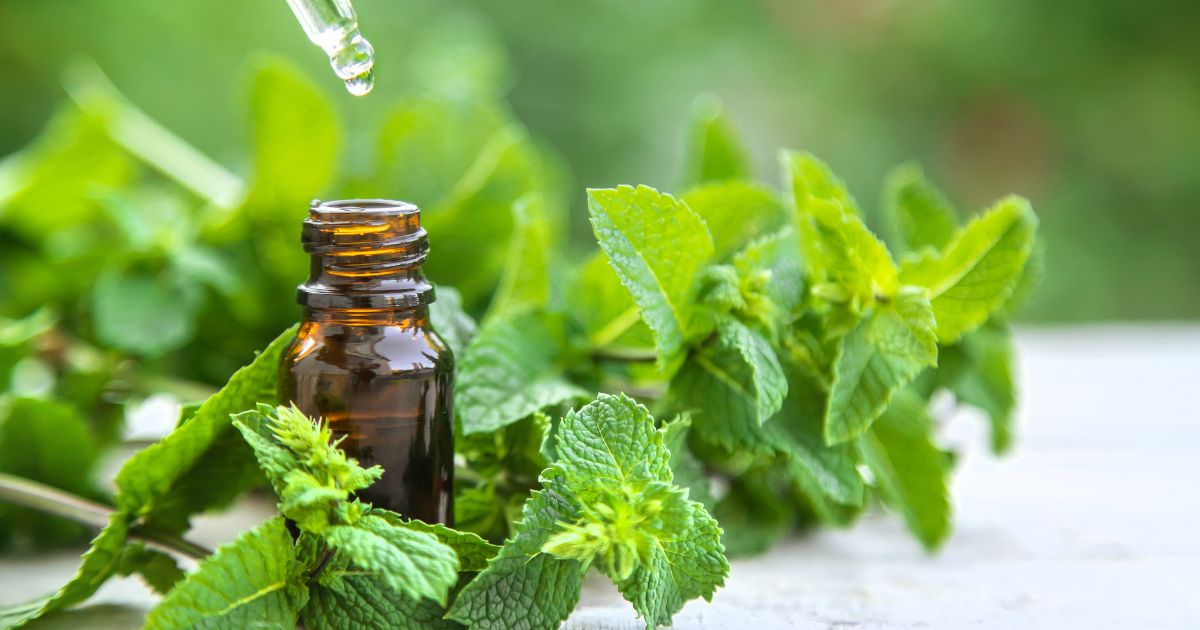 Natural Remedies 1