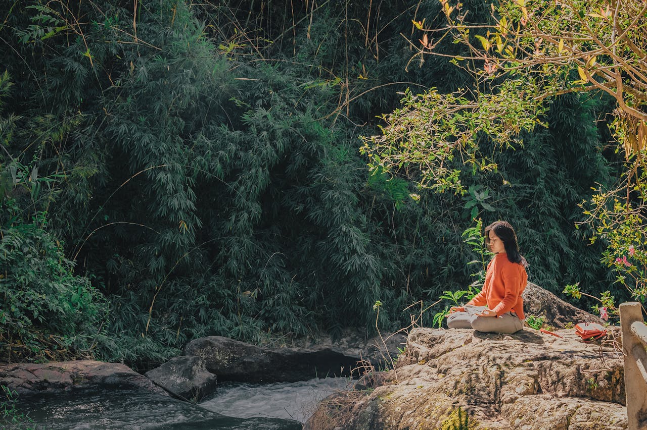 Gratitude 1