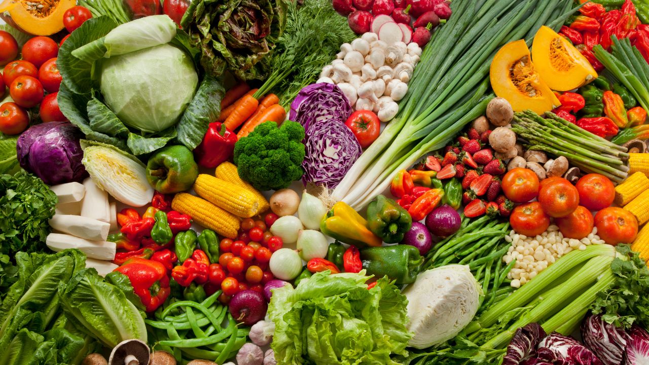 Plant based diet