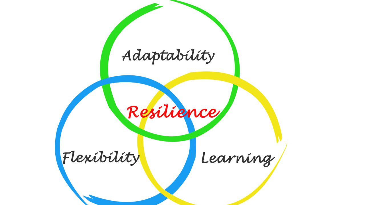 Resilience 1