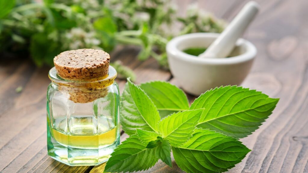 Herbal Medicine 2 Herbal Medicine 2