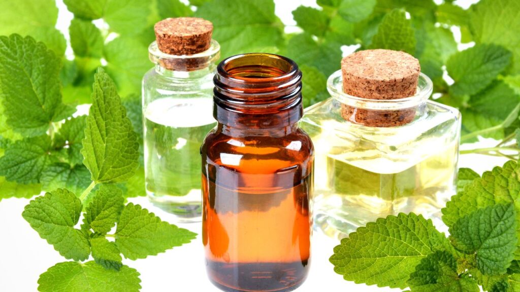 Herbal Medicine 4 Herbal Medicine 4