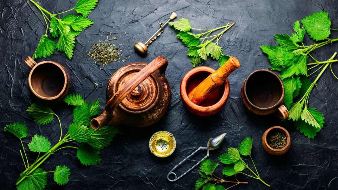 Herbal Medicine 1