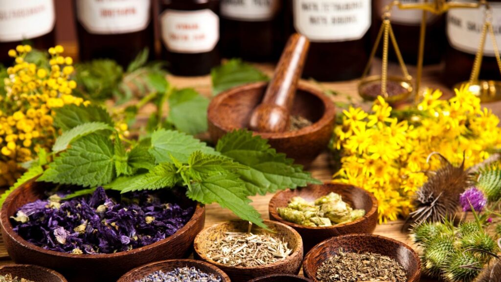 Herbal Medicine 3 Herbal Medicine 3