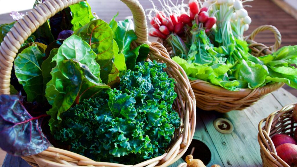 Anti Inflammatory Diet 2 Anti Inflammatory Diet 2