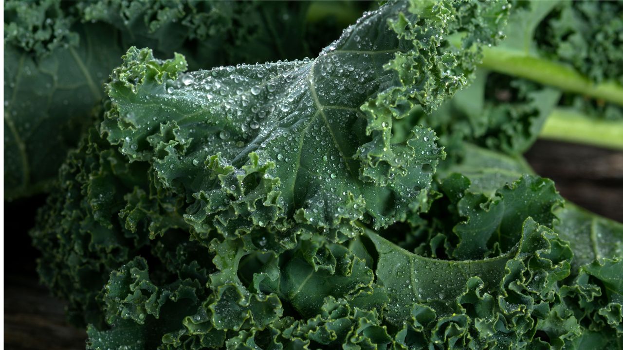 Superfoods 1