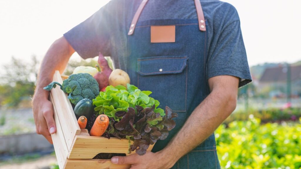 Organic Food 2 Organic Food 2